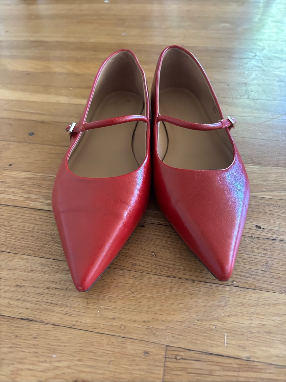 Madewell Elsie Mary Jane Pointed Toe Flat View 3